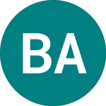 Logo di Bk. America 30 (61LC).