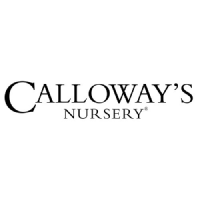 Logo di Calloways Nursery (PK) (CLWY).