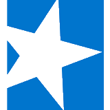 Logo di Starwood Property (STWD).