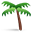 palm_tree