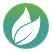 Logo di Integrated Green Energy ... (IGE).