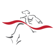 Logo di Matador Mining (MZZ).