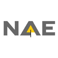 Logo di New Age Exploration (NAE).