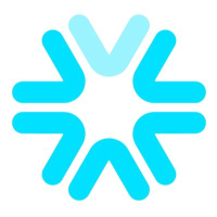 Logo di Volpara Health Technolog... (VHT).
