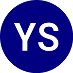 Logo di Yieldmax Short Nvda Opti... (DIPS).