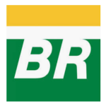 Logo per PETROBRAS BR ON