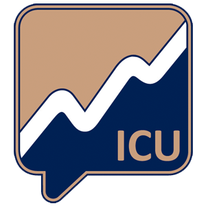 Logo di ICY (ICUSDT).