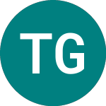 Logo di Toupargel Groupe (0IWR).