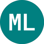 Logo di Merrill Lynch Grtr Eur (MGE).