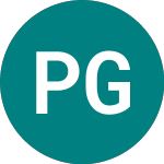 Logo di Peninsular Gold (PGL).