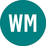 Logo di Wolfson Microelectronics (WLF).