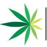Logo di American Cannabis (QB) (AMMJ).