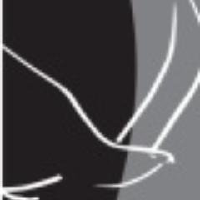 Logo di Eagle Graphite (CE) (APMFF).
