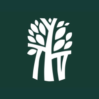 Logo di Banyon Tree (PK) (BYNEF).