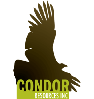 Logo di Condor Res (PK) (CNRIF).