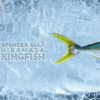 Logo di Clean Seas Seafood (PK) (CTUNF).