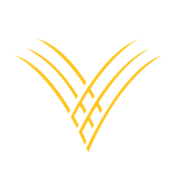 Logo di Golden Valley Bancshares (PK) (GVYB).