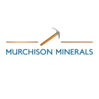 Logo di Murchison Minerals (PK) (MURMF).