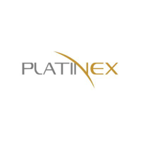Logo di PTX Metals (QB) (PANXF).
