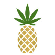 Logo di Pineapple (PK) (PNPL).