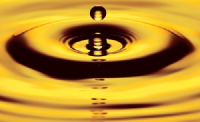 Logo di Precipitate Gold (QB) (PREIF).