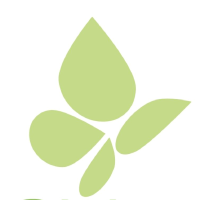 Logo di Pieridae Energy (PK) (PTOAF).