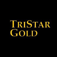 Logo di TriStar Gold (QB) (TSGZF).