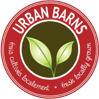 Logo di Urban Barns Foods (CE) (URBF).