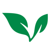 Logo di MedBright AI Investments (QB) (VNNYF).