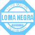 Logo di Loma Negra Compania Indu... (LOMA).
