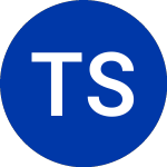 Logo di Tele Sudeste Cel (TSD).