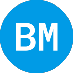 Logo di BNY Mellon Innovators ETF (BKIV).