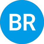 Logo di Burning Rock Biotech (BNR).